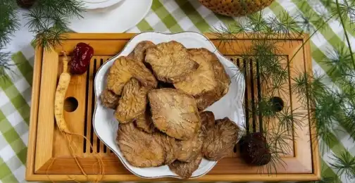 What Are the Immunomodulatory Properties of Cistanche Extract?